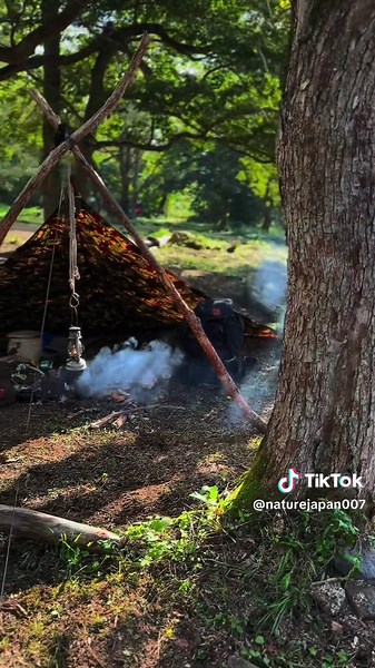 #outdoors #outdoor #wildlife #wildcamping #自然 #野営 #アウトドア #キャンプ