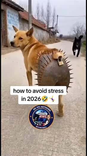 Effective Strategies to Avoid Stress in 2026