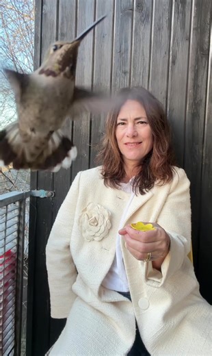 He’s no home wreaker. #hummingbird #hummingbirdsoftiktok | hummingbirds