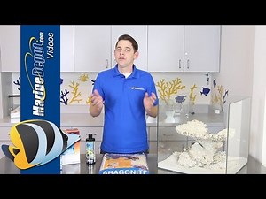 Biological Filtration: Grow Beneficial Bacteria for a Thriving Ecosystem