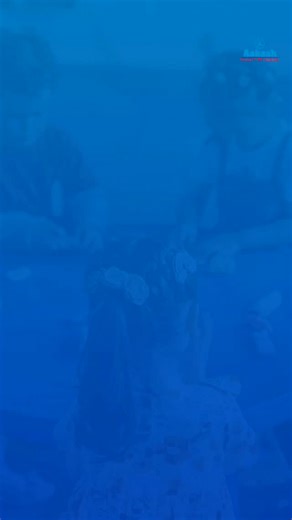 Aakash_Institute_Rajbagh_ | Celebrating the success of our Class 10 qualifiers at Nigeen Center. Your achievement makes us proud. #aakashinstitutesrinagar #success... | Instagram