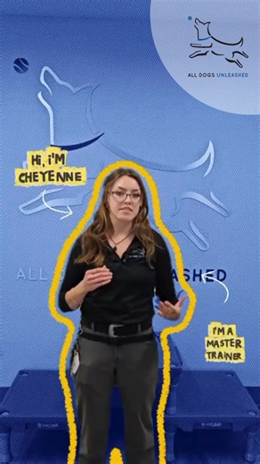 Meet Cheyenne, our Master Trainer! When it comes to bringing new trainers on board, Cheyenne looks for passion, patience, and a genuine love for dogs. She believes the best trainers are not just skilled but also dedicated to helping owners and their pups grow together with trust and confidence. #AllDogsUnleashedBoise #DogTrainingBoise #MasterTrainer #DogTrainer #BoiseDogs #BalancedTraining #DogLovers | All Dogs Unleashed - Boise
