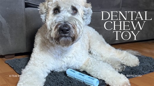 Watch Clean teeth without brushing on Amazon Live