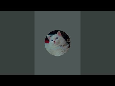 Free fire India game custom room give way