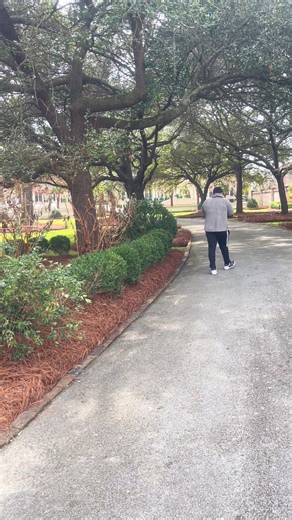 Effective Landscape Maintenance Tips for Homeowners