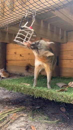 9.1K views · 102 reactions | It’s Wish List Wednesday!  Every gift...