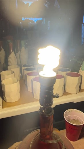 Translucent porcelain cups #pottery #veteran #ceramics #artist #porcelain