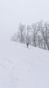 Powder paradise and it keeps getting better ⛷️😌 Snow is falling and we’re expecting it to keep up right into tomorrow night 🌙 | Jiminy Peak
