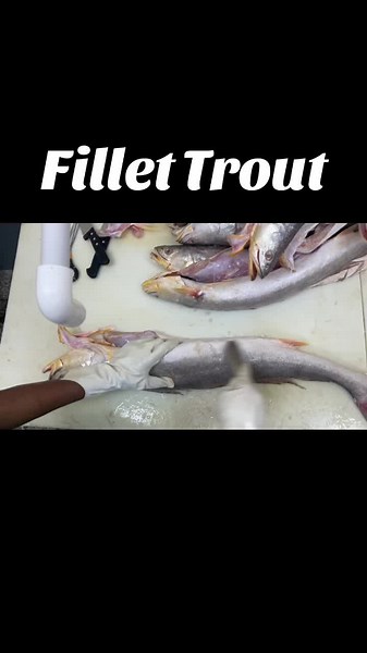 fresh.supplies.food.depo on TikTok