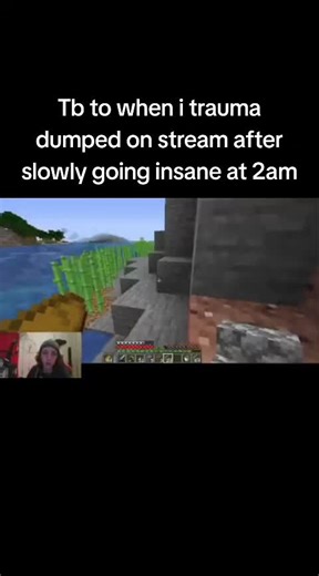 from when I started streaming lol #Minecraft #kylelemon #fyp #streamer #letsplay