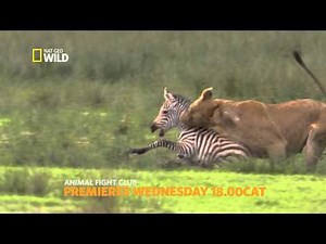 Animal Fight Club III Premiere