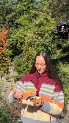 ad One of the most fun food experiences in Japan: flying dango at Geibikei Gorge 🍡✨ In this quiet corner of northern Tōhoku, your snack doesn’t get handed to you, it flies across the gorge in a little wooden basket. It’s playful, charming, and one of those ‘only in Japan’ moments you don’t forget. The stand opens around 9:00 (March–November), and it’s definitely worth going early. Crowds and queues start to build later, especially on weekends. Getting there is easy: Take the JR Ōfunato Line fro