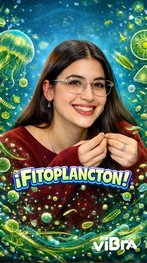 Te presento al Prochlorococcus, el organismo fotosintético más abundante de la Tierra. Es invisible, vive en el océano y produce el 55% del oxígeno de la atmósfera Si los océanos superan los 28°C, este gigante invisible colapsa. Para fin de siglo, podríamos perder hasta la mitad de su población, y con ellos, nuestro equilibrio terrestre. ¿Por qué miramos algo tan chiquito?: Porque de eso depende algo mucho más grande | Vibra Bonaerense