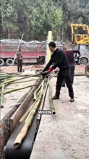 Charcoal Made from Bamboo, Not Trees | A More Sustainable Alternative