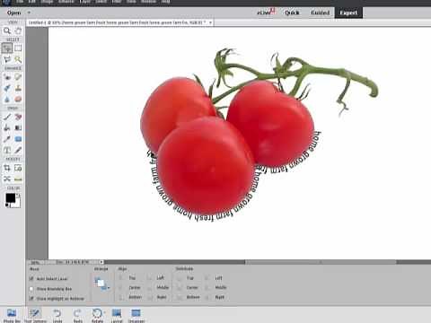 Using the Text Path Tools in Photoshop Elements