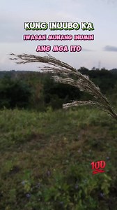 10K reactions · 2K shares | @iwasan inumin ang mga ito pag inuubo.. #tips #trendingreels #reelsvideoシ #fypシviralシ2024 #reelsviralシ #viralreelsシ #reelsfbシ #viralreels #viralreelsfacebook #fypreels #everyoneシ゚ | Rhomel C Divina | Facebook