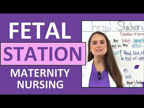 Fetal Station Assessment and Engagement Nursing NCLEX Maternity Review
