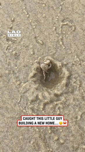 I wonder how much rent is 🤔 | LADbible