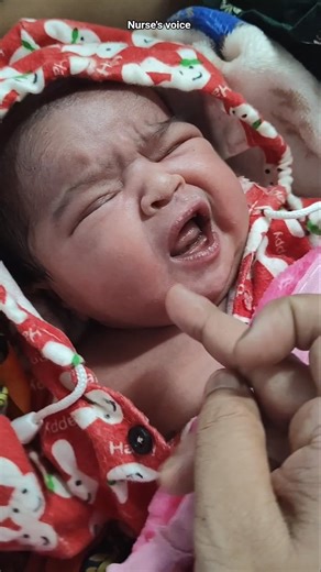 Rooting Reflex 💟 #newbornbaby #babyshorts #nursing #newborn