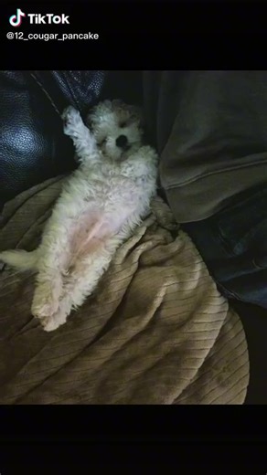 Exploring Psychic Healing Insights with Experts