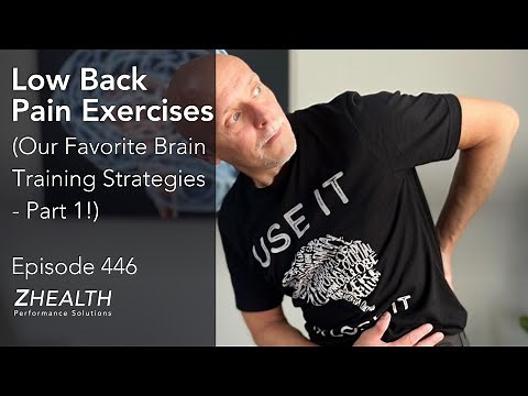 Low Back Pain Exercises (Our Favorite Brain Training Strategies - Part 1!)