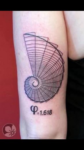 November 23 is Fibonacci Day, an annual holiday that honors one of the most influential mathematicians of the Middle Ages - Leonardo Bonacci. | Mathematics Learning