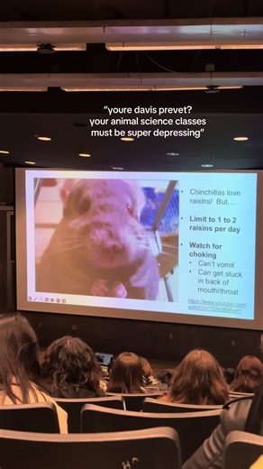 Challenges and Joys of Animal Science at UC Davis