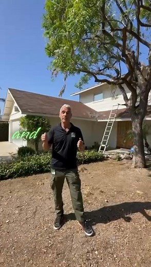 How would you like a brand new roof for as low as $12,999? We’ve done a lot of work in California, and we’ve noticed many roofs have serious damage… If you’re like most homeowners, you know taking care of that damage can drain your energy, your wallet, and most importantly, your TIME! This is why many homeowners will choose to ignore minor damage to their roof – until it’s too late and they have a full blown hole wreaking havoc on their life and their bank account! We know… nobody wants to shell