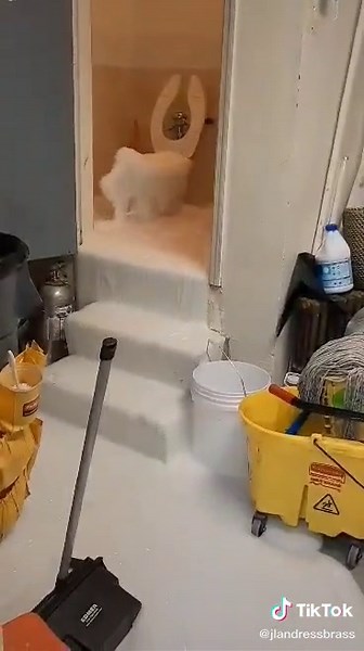 Cleaning Fail: Fun Soap Cleanup | How to Refill a Firebird Lighter