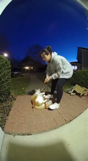 Quickly use the nunchucks, hum hum hah shee