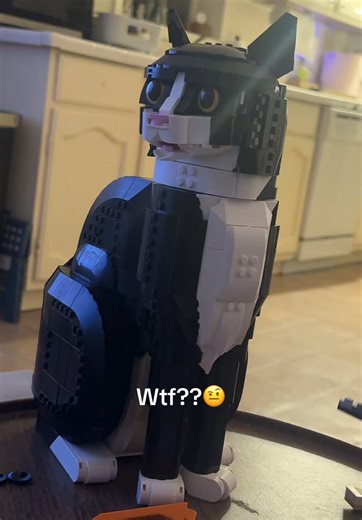 Creating a LEGO Model of My Tuxedo Cat