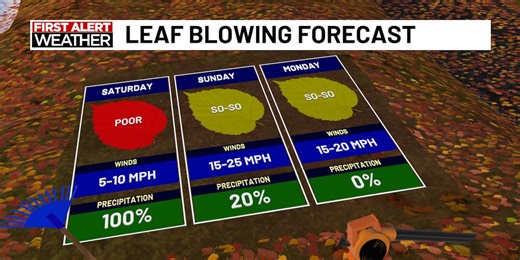 How leaf blowers generate strong winds