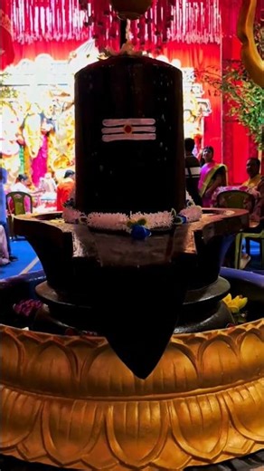 Durga Puja 2025 | Celebration of Maa Durga | Navratri Vibes