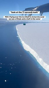 Did you see the whale and her calf in the water? While flying in Antarctica, there are so many beautiful ocean creatures and animals to see from the air. #antarctica #whale #whalewatching #iceshelf #icewall #leviathan #aviation | Life of Mike