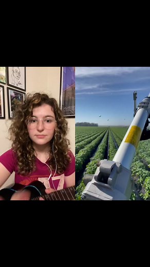 #duet with @valendiiulio you just got water weezered #fyp #foryoupage #ukulele #flightukulele #weezer #weezered #buddyholly #yougotweezered