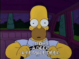Jokes that took you an embarrassingly long time to get.... 🦌 | Simpsons Forever