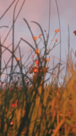 #roleplay #projekt #gtav #fivem #fivemroleplay #bonus #geschenk #twitch #gamingvideos