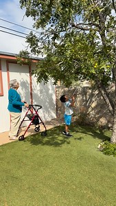 18 reactions · 3 comments | PECAN PIE癩不 From picking the pecans with...