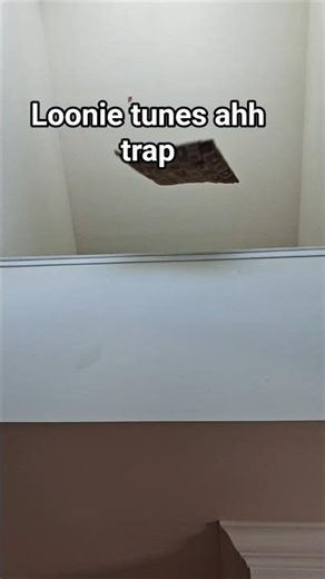Loonie toons ah trap😭