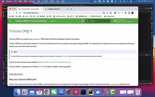 Tortoise ORM：抽象Model&常用fields