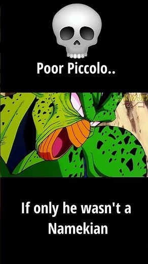 Piccolo Didn't Deserve This