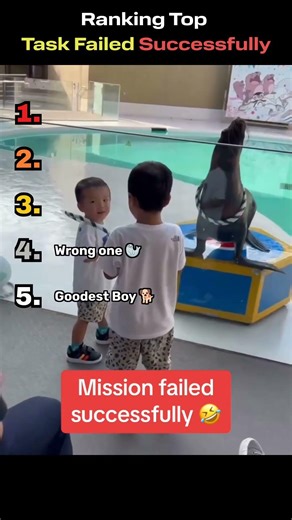 Tasks Failed with Success! #comedy #funny #fails #failarmy
