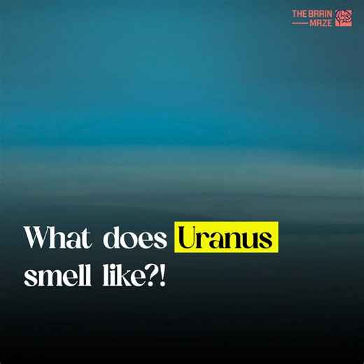 37K views · 1K reactions | Uranus stands out with a composition that includes significant amounts of methane, hydrogen, and helium. The atmosphere is characterized by layers of clouds, primarily composed of methane ice crystals, which give the planet its distinctive pale blue-green hue. But how does it smell? Let's answer that. | The Brain Maze | Facebook
