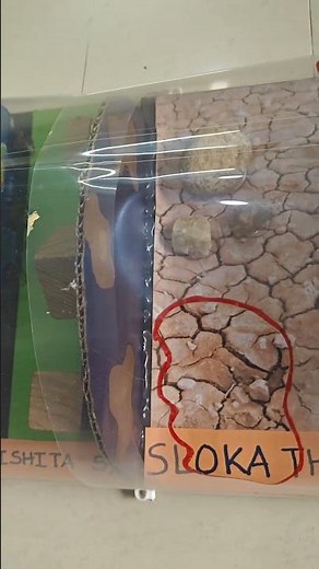 Ozone Layer Depletion - School Project - #ozonelayerdepletion #SaiRishita