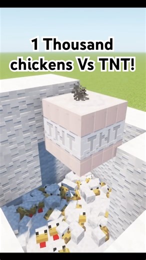 Will they survive? #minecraft #explosion