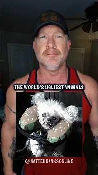 THE WORLD'S UGLIEST ANIMALS. #uglyanimals #funnyanimals #comedy #funny #humor
