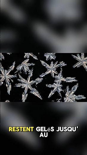 Comment se forme la NEIGE ? La science des FLOCONS expliquée simplement.