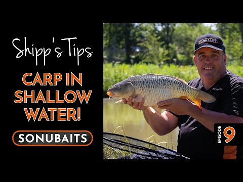 SHIPP'S TIPS - Episode 9 - Carp In Shallow Water!
