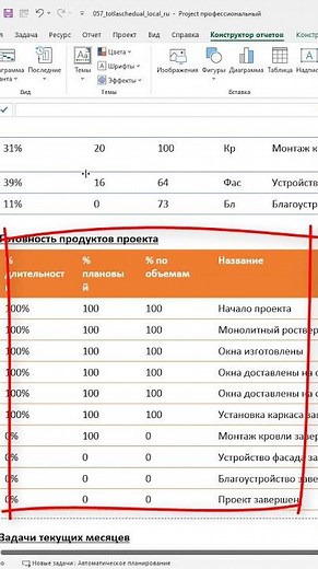 How to control project deadlines and volumes in MS Project Pro?