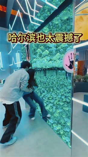 Harbin's Illusion Space offers a visually stunning experience that's both relaxing and addictive